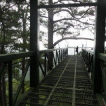 SKYWALK - Located at Tree Top Adventure, Baguio City. This is the place where you have the nicest way to touch nature. It is just so beautifully awesome. A man made steel that gives a bright view of the place.
